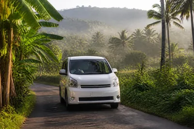 Auto met chauffeur op een landweg tussen de kokospalmen in Sri Lanka