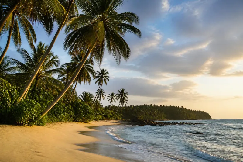 Breed palmenstrand aan de zuidkust van Sri Lanka in het late middaglicht